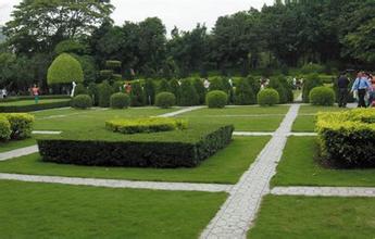 無錫綠化養護工程 無錫綠化養護工程