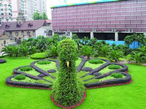 無錫綠化養護工程 無錫綠化養護工程