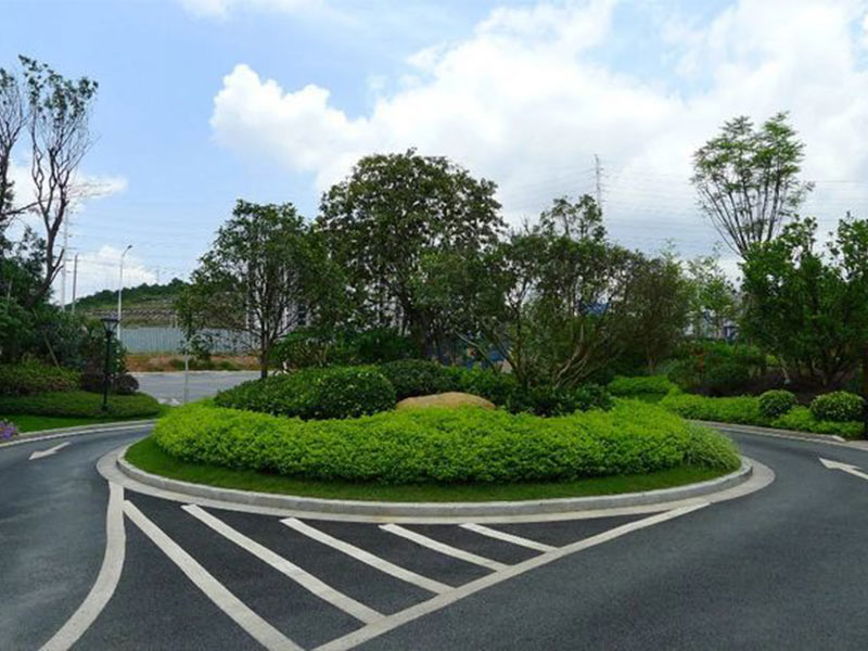 無錫廣場綠化 無錫廣場綠化