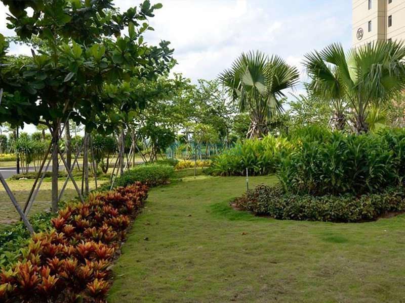 公園綠化養護.jpg 公園綠化養護.jpg