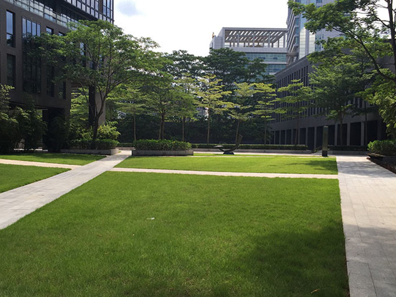 廠區綠化養護.jpg 廠區綠化養護.jpg