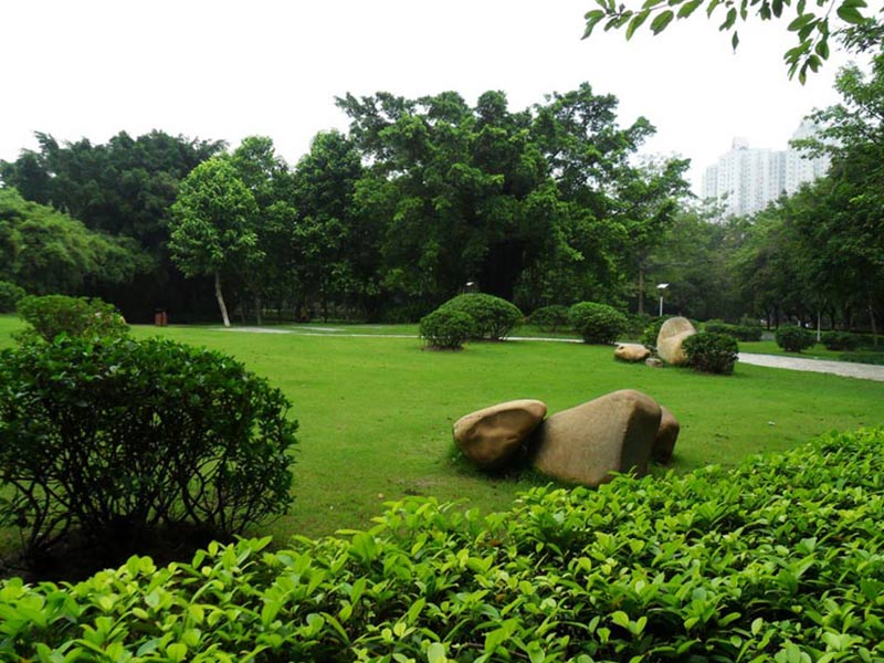 廣場綠化養護.jpg